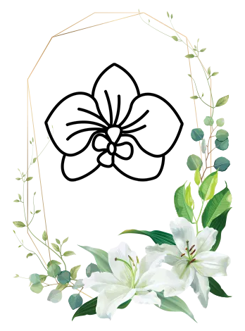 Nos plantes - plantes vertes et décoration